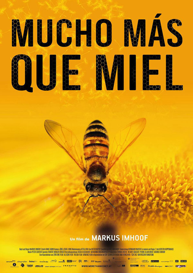 MUCHO MAS QUE MIEL - More than Honey - 2012